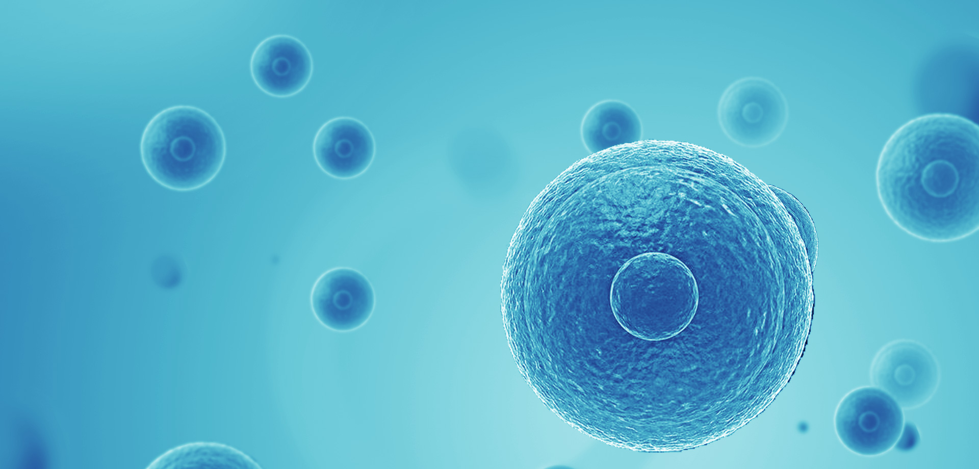 以患者需求為核心，驅(qū)動(dòng)細(xì)胞免疫治療創(chuàng)新，實(shí)現(xiàn)癌癥可控化并最終治愈。